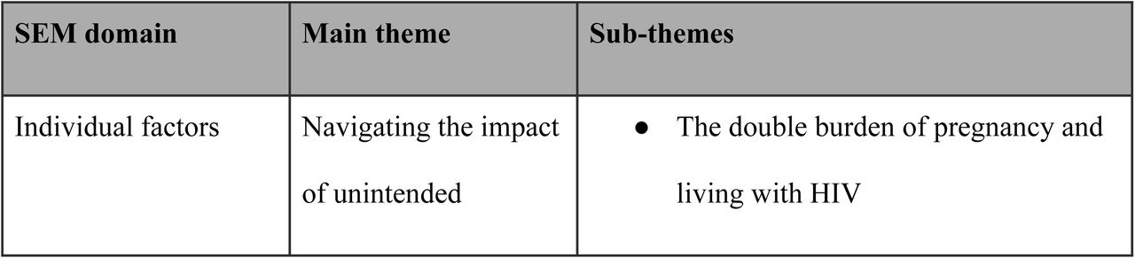 Summary of sub-themes under each domain of the SEM