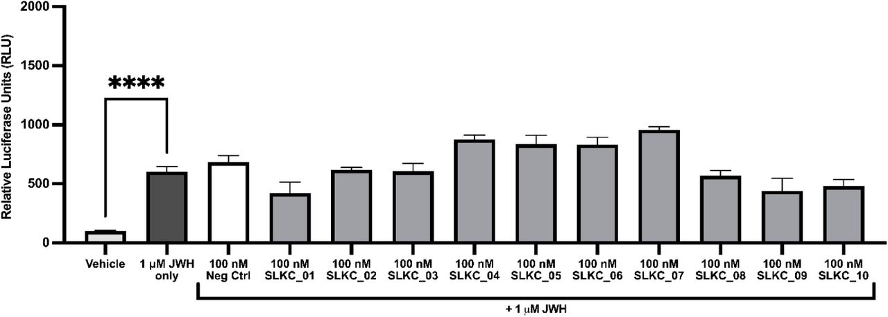 The top 10 highest affinity CB2R-targeting selektides show distinct profiles in their modulation of intracellular G-protein independent β-arrestin recruitment.Bar chart highlighting the rate of β-arrestin recruitment to the activated receptor in CB2R-Tango transfected HTLA cells when co-administered with both 1 μM JWH-133 and 100 nM of respective selektide for 24 h. Bars represent the mean ± SEM of n = 3 independent experiments with n = 3 technical replicates. Statistical significance was determined by unpaired T test comparing each condition to the JWH-133-stimulated control. **** p < 0.0001.