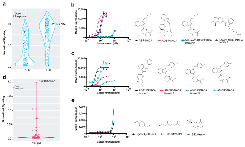 Screen of cannabinoid receptors with compound libraries. (a) Screen of CB1R with synthetic cannabinoid compounds at 1 µM and 10 nM concentrations. Signaling was normalized to signaling with 100 µM ACEA, set at “1”. “Dose response” compounds were those chosen for further analysis by dose response. (b) Dose responses with FUBINACA compounds are shown. The CB1R yeast strains with the ZsGreen reporter were induced with ligands for 8 h and measured by cytometry. AB-FUBINACA, EC50 = 0.66 nM, 95% CI 0.35 to 1.14 nM; AB-FUBINACA isomer 1, EC50 = 0.01 nM, 95% CI 0.01 to 0.02 nM; AB-FUBINACA isomer 2, EC50 = 0.23 nM, 95% CI 0.1356 to 0.42 nM; AB-FUBINACA isomer 5, EC50 = 15.86 nM, 95% CI 7.63 to 38.36 nM. (c) Dose responses with PINACA compounds. AB-PINACA, EC50 = 1.21 nM, 95% CI 0.96 to 1.52 nM; ADB-PINACA, EC50 = 0.09 nM, 95% CI 0.05 to 0.14 nM; 5-fluoro ADB-PINACA isomer 2, EC50 = 2.25 nM, 95% CI 1.26 to 3.97 nM. (d) Signaling at CB1R with terpene compounds at 100 µM. Signaling was normalized to signaling with 100 µM ACEA, set at “1”. “Dose response” compounds were those chosen for further analysis by dose response. (e) Dose responses at CB1R with compounds that demonstrated signaling in the terpene screen over 0.25 greater than that of the 100 µM ACEA control. The low-affinity terpenes did not show fluorescence except at high levels of the agonist. For all dose response experiments, n = 3. Nonlinear regression was fit as a four-parameter logistic equation. For the screens, n = 1.