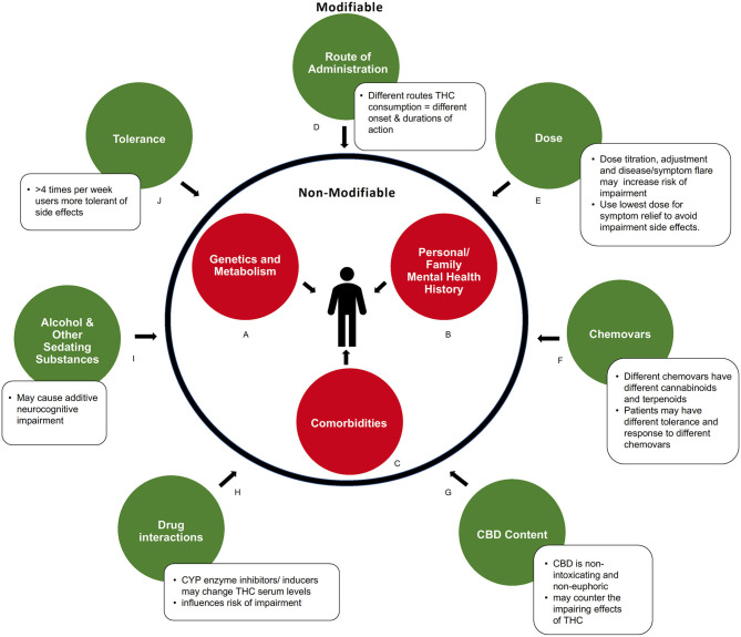 Modifiable and non-modifiable factors influencing acute neurocognitive impairment in medical cannabis users. (A) Genetic and metabolic profiles can influence response to cannabinoids. (B) Predisposition to or history of mental health conditions may increase risk of impairment. (C) Comorbidities that produce symptoms like fatigue, dizziness, or cognitive slowing may compound impairment. (D) How cannabis is consumed influences the duration of impairments via differences in absorption and metabolism. (E) Severity of impairment is THC dose-dependent. (F) Chemical composition (level of various cannabinoids and metabolites) of a cannabis product influences degree of impairment (G) Amount of CBD contained in product may balance side effects of THC. (H) Drug interactions can alter serum THC levels. (I) Use of other sedating recreational or prescribed substances may cause additive impairment. (J) Pattern of regular consumption in medical cannabis users decreases drug response, and side effects, to cannabinoids.