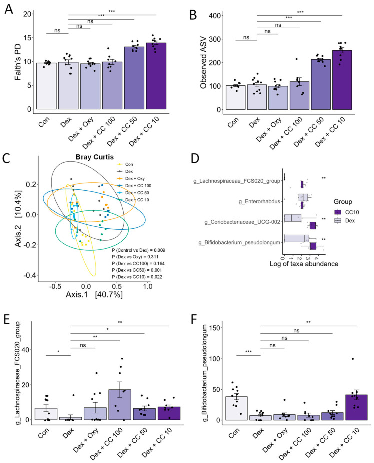 CC modulates gut microbial diversity and bacterial taxa. (A–C) Alpha- and beta-diversity indices, Faith’s PD (A), observed ASV (B), and Bray–Curtis index (C). (D) Genera showing significantly differential abundance between the Dex and CC10 groups. (E) Abundances of Lachnospiraceae FCS020 and (F) Bifidobacterium pseudolongum. Data are shown as mean ± SE, n = 8–10. The black dots on the bar graph represent the data values for each mouse on the x-axis. * p < 0.05, ** p < 0.01, and *** p < 0.005, ns (not significant) p > 0.05.