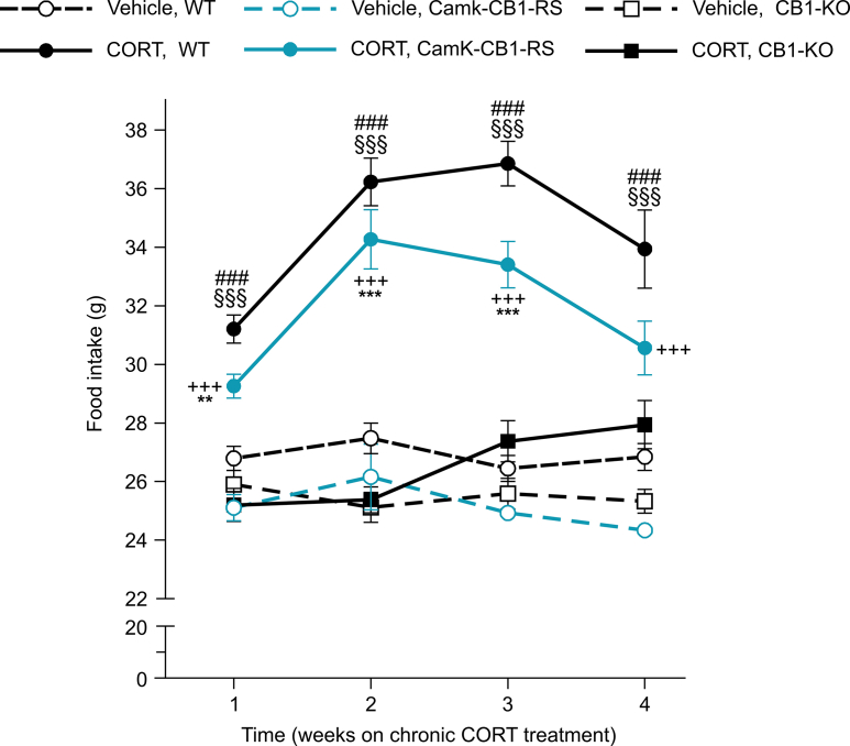 Supplementary Fig. 3. Weekly food consumption in CORT treated mice. Mean ± SEM. Two-way ANOVA, and Turkey’s multiple comparisons at indicated time points; ∗∗P < 0.01∗∗∗P < 0.001, CORT treated CB1–KO vs CORT treated CaMKII-CB1-RS; +++P < 0.001, vehicle vs CORT treated CaMKII-CB1-RS; ###P < 0.001, CORT treated CB1–KO vs CORT treated WT; §§§P < 0.001, vehicle vs CORT treated WT.