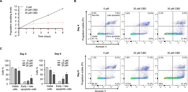 CBD induced apoptosis at sub-lethal concentrations during 6 days of incubation in TM3 cells. A Growth curves of TM3 cells treated with DMSO, 20, or 30 µM CBD for 6 days. B Detection of apoptotic TM3 cells by Annexin V/PI staining on day 4 or 6. TM3 cells were treated with DMSO (0 μM), 20 µM CBD, or 30 µM CBD for 4 or 6 days. Representative scatter plots show the results of Annexin V (X-axis)/ PI (Y-axis) staining. C Quantification of results from (B). Bar graphs represent the average percentage of viable and early and late apoptotic cells from three independent experiments. *, p < 0.05 and significantly different from the DMSO control