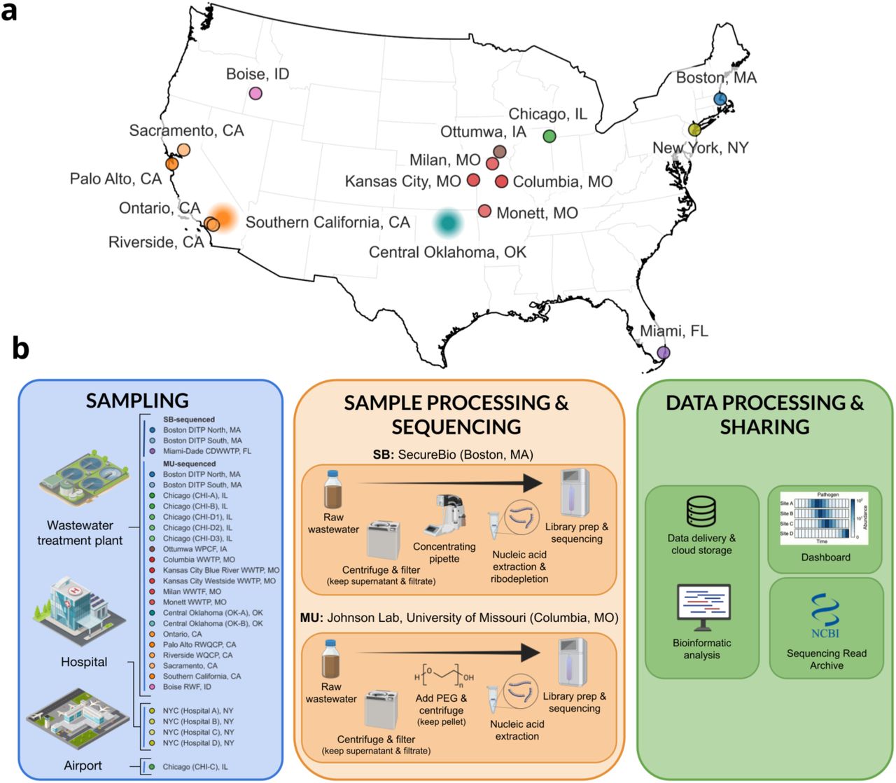 Overview of CASPER sampling network and workflow.(a) Geographic distribution of CASPER sampling sites included in this data release. Sites span nine U.S. states and 27 distinct wastewater catchments; some metropolitan areas (Chicago, Kansas City, Boston, and New York City) include multiple sampling sites. Marker locations for Southern California and Central Oklahoma are approximate to preserve site anonymity. Wastewater treatment plants labeled with a particular city may serve surrounding municipalities and communities. (b) Schematic illustrating the flow of samples from wastewater collection through laboratory processing, sequencing and public data release.