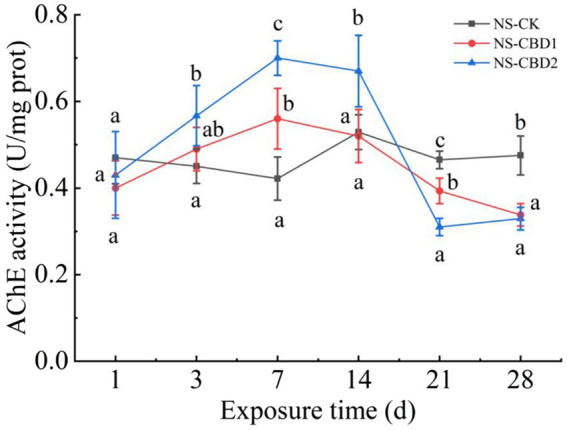 Effects of carbendazim on acetylcholinesterase activity of earthworm in the un-manured soil. NS-CK, NS-CBD1 and NS-CBD2 indicated 0, 1 and 2 mg/kg carbendazim treatment in the un-manured soil, respectively. The different letters above the curves indicate a significant difference (p < 0.05) based on variance analysis. The error bars represent the standard errors of the mean of triplicate samples.