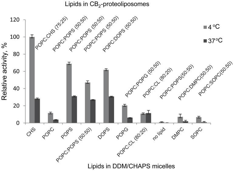 Stabilizing effects of CHS and phospholipids in DDM/CHAPS micelles.Detergent micelles supplemented with lipids as indicated below the graph were incubated either for 2 hours at 4°C (light-shaded bars) or for 1.5 hours at 4°C followed by 30 min at 37°C (dark-shaded bars). The composition of micelles was adjusted as indicated (above the graph) and the protein reconstituted into proteoliposomes on mini-spin detergent absorbent columns (Pierce). The functional activity was measured by the G protein activation assay as described in Materials and Methods. Purified CB2 reconstituted from CHS/POPC/DDM/CHAPS micelles (final composition of liposomes: CHS/POPC 25∶75 mol/mol) was used as an activity standard. Presented are average values of duplicate measurements ± S.D. (error bars) from representative experiments (n = 3).