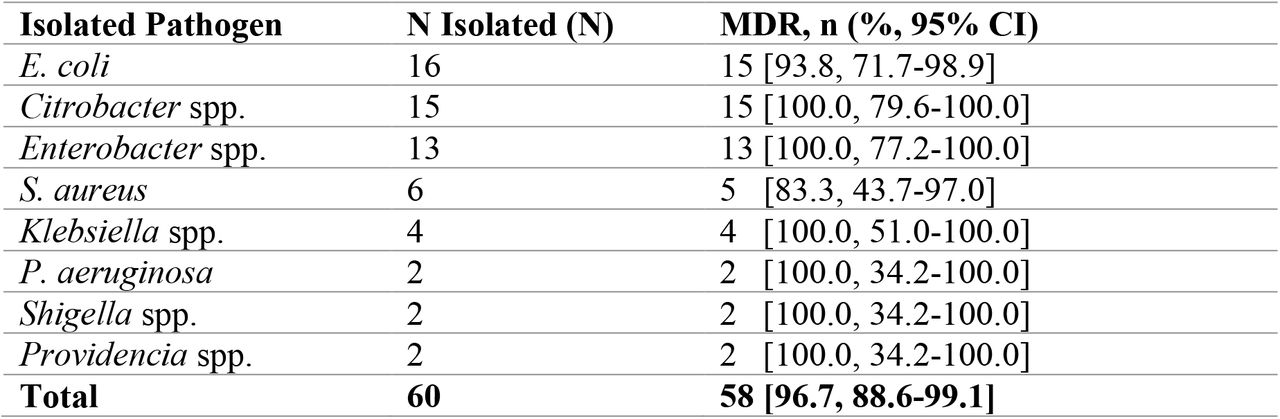 Prevalence of multi drug resistance (MDR) among uropathogens