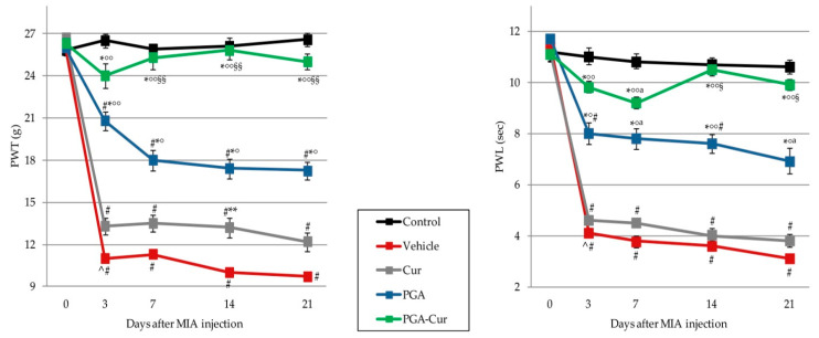 Effect of PGA and curcumin (Cur) given individually or in a co-micronized formulation (PGA-Cur) on monoiodoacetate-induced neuropathic pain. The effect was assessed on secondary allodynia by measuring paw withdrawal threshold (PTW) and paw withdrawal latency (PWL) before and after 3, 7, 14, and 21 days from MIA knee injection. Data are expressed as mean ± standard error of the mean (N = 10/group). PGA = micronized palmitoyl-glucosamine. ^ p < 0.0001 vs. previous time point; # p < 0.0001 and a p < 0.05 vs. control; * p < 0.0001 and ** p = 0.0295 vs. vehicle; °p < 0.05 and °° p < 0.0001 vs. Cur; §§ p < 0.0001, § p < 0.005 vs. PGA.