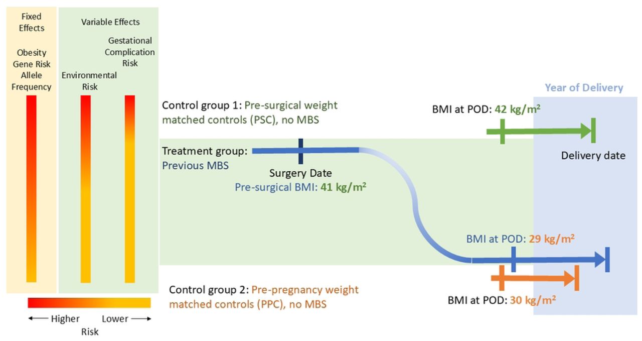 Matching example of control groups to the metabolic-bariatric surgery (MBS) group.Matching criteria included maternal age, body mass index (BMI) according to either pre-surgery or pre-pregnancy weights of the MBS group, year of delivery, and Kaiser Permanente study site. The highest obesity genetic allele burden (fixed effect) is predicted to occur in the MBS and PSC cohorts. Environmental influences may vary, but differences between groups are hoped to be minimized by matching to Kaiser site and year of pregnancy with gestational complication risks for maternal glycemia and hypertensive disorders of pregnancy being highest in the PSC group compared to MBS and PPC cohorts. POD: pregnancy onset date. PSC: pre-surgical controls. PPC: pre-pregnancy controls.