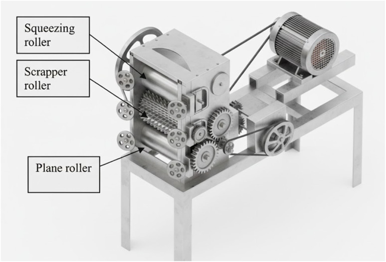 Schematic diagram of a mechanical decorticator.