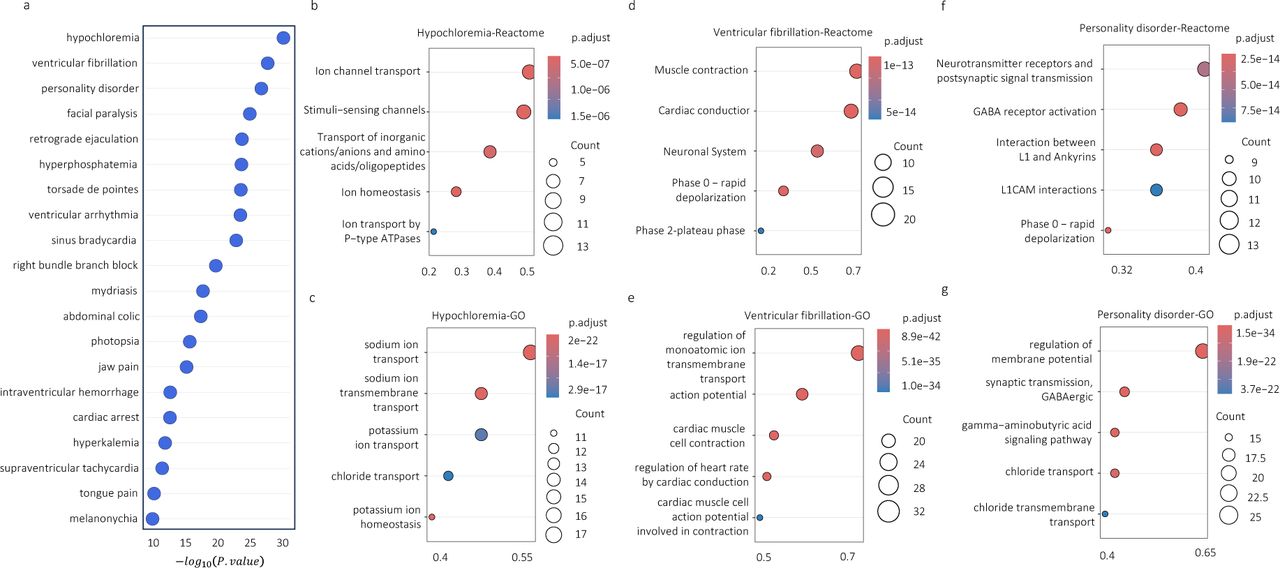 The results for the top phenotypes;(a) The ranked list of phenotypes based on the significance of their ADR-DP proteins. Reactome (b, d, f) and gene ontology (c, e, g) over-representation analysis for ADR-DP proteins of the top three phenotypes including (b, c) hyperchloremia, (d–e) ventricular fibrillation, and (f–g) personality disorder.