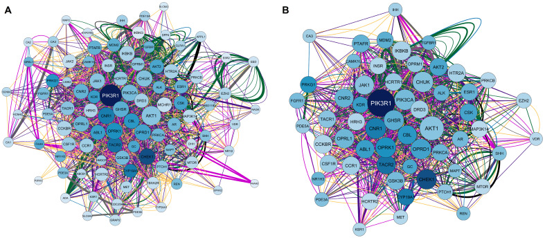 Network interactions among calcitriol, anxiety, and depression targets. (A) Complete network composed of 94 nodes. (B) Filtered network containing 59 most central and connected target genes shared among calcitriol, anxiety, and depression. The network was based on the degree center (DC) ≥ 21, betweenness centrality (BC) range of 0.004–0.046, and closeness centrality (CC) range of 0.477–0.780. The largest node indicates a higher degree in the network. The color of the edges refers to the types of interactions: physical interactions (green), co-expression (yellow), shared protein domains (pink), co-locations (blue), predictions (gray), genetic interactions (purple), and metabolic pathways (black).