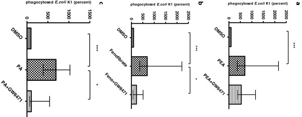 Involvement of peroxisome proliferator-activated receptor (PPAR)α in macrophage stimulation and phagocytosis of E. coli K1 by palmitoylethanolamide (PEA), fenofibrate and palmitic acid (PA). Macrophages were incubated with the PPARα antagonist GW6471 (1 μM) for 1 hour. After incubation, macrophages were either left unstimulated (treated with medium containing 0.01% DMSO) or stimulated with PEA (300 nM) (a), fenofibrate (20 μM) (b) or palmitic acid (PA) (0.25 mM) (c) for 1 hour (n ≥ 9 wells/group from two independent experiments). In each experiment, the number of bacteria ingested by the control group (DMSO) was considered to be 100%. Phagocytic rates are presented as the percentage of phagocytosis of the respective control group. Data are given as medians with interquartile ranges and were analyzed by Kruskal-Wallis test followed by Dunn’s correction for repeated testing (***P < 0.001, *P < 0.05).