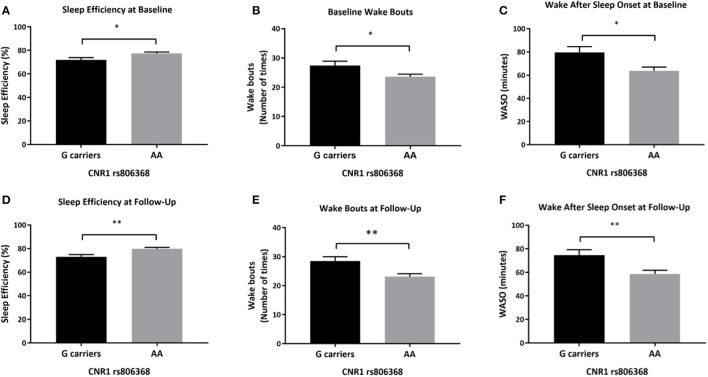 Differences in actigraphy-based sleep quality measures by CNR1 rs806368 genotype at baseline and follow-up. This figure demonstrates that at based on actigraphy-based measures, both at baseline (A–C) and follow-up (D–F), G carriers of CNR1 rs806368 genotype had poorer sleep efficiency, more wake bouts and more wake minutes after sleep onset after controlling for age, sex, years of education, pack years, Alcohol Dependence Severity (ADS) scores, Ancestry-informative marker (AIM scores for Africa, Europe), presence of mood disorders, and/or anxiety disorders, presence of Cannabis Use Disorder, and/or any Substance Use Disorder other than nicotine. (A) Baseline Sleep Efficiency: [F(1,89) = 5.324, p = 0.023, N = 101], (B) Baseline wake bouts: [F(1,89) = 4.952, p = 0.029, N = 101], (C) Baseline WASO: [F(1,89) = 6.174, p = 0.015, N = 101], (D) Follow-up Sleep Efficiency F(1, 65) = 9.052, p = 0.004, (E) Follow-up wake bouts: [F(1, 65) = 8.125, p = 0.006], (F) Follow-up WASO: [F(1, 65) = 7.677, p = 0.007]. Bars represent adjusted means and error bars denote standard errors. WASO, Wake After Sleep Onset. *p <0.05, **p <0.01 and Bonferroni adjusted.