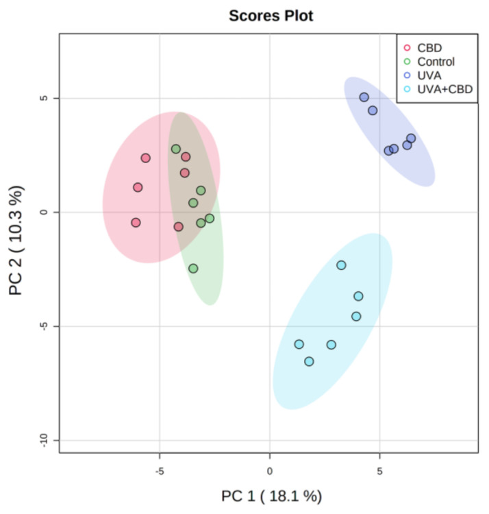 Two-dimensional principal component analysis (2D PCA) scores plots of the relative abundance of phospholipid species related to the internal standard of each phospholipid class in keratinocytes isolated from the skin of control (Control) and rats with UVA-irradiated rats (increasing doses of 0.5 to 5 J/cm2 for 4 weeks). These cells have not been treated (Control and UVA) or treated with cannabidiol (CBD) (CBD and UVA + CBD) (2.5 g CBD in 100 g petrolatum).