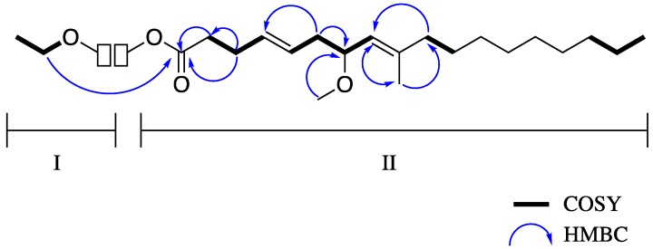 Selected COSY and HMBC correlations for compound 2 substructures I and II.