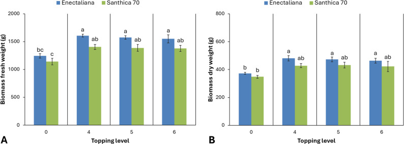 Biomass production of hemp cultivars under different topping levels