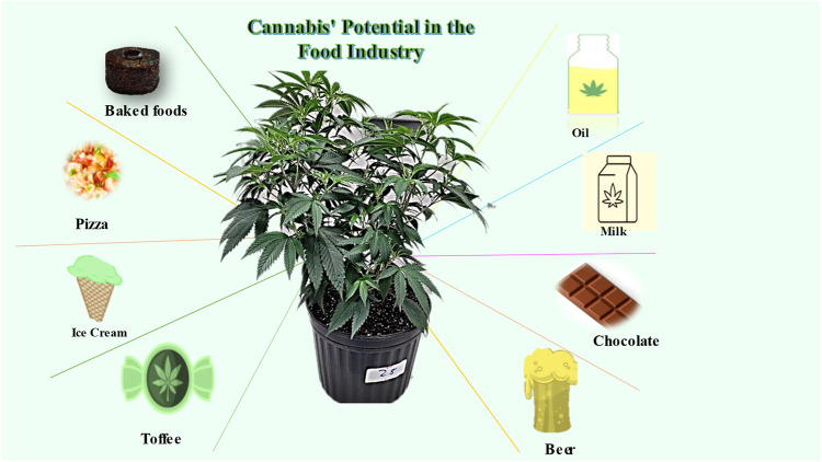 Cannabis potential in the food industry.