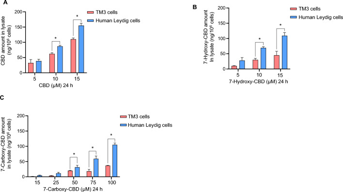 Mass spectrometry analysis of CBD, 7-hydroxy-CBD, and 7-carboxy-CBD in primary human Leydig and TM3 cells. Primary human Leydig and TM3 cells were exposed to 5—15 µM CBD (A), 5—15 µM 7-hydroxy-CBD (B), or 15—100 µM 7-carboxy-CBD (C) for 24 h. One mL of media supernatants and cell pellets were collected. The normalized amount of CBD, 7-hydroxy-CBD, and 7-carboxy-CBD in the cell lysate of primary human Leydig and mouse TM3 cells is shown in (A–C). The bar graphs show the mean ± SD from three independent experiments. *, p < 0.05, indicating a significant difference between primary human Leydig cells and TM3 cells