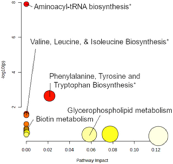 Comprehensive Analysis of LC-MS(qTOF) metabolomics data reveals key pathways.Asterisks denote pathways of significant alteration. Predominant among these is aminoacyl-tRNA biosynthesis, highlighted by an elevated presence of metabolites including phenylalanine, leucine, tryptophan, methionine, tyrosine, alanine, and histidine. This observation aligns with transcriptomic data (Fig. 3), particularly the upregulation of IMT1. The biosynthesis of branched-chain amino acids (valine, leucine, isoleucine) is also indicated by the notable levels of leucine and isoleucine. Phenylalanine, tyrosine, and tryptophan biosynthesis are further corroborated by their significant presence. While biotin metabolism and glycerophospholipid metabolism did not show significant changes, the detection of 8-Amino-7-oxononanoate and specific lipids (unrepresented in the KEGG database) such as 9-Hydroxy-12-octadecenoic acid and 1-docosanoyl-glycero-3-phosphoserine suggests underlying activity. Detailed data are presented in Supplementary Table 5.