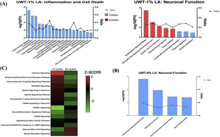 (A) Bar graph showing the effect of traumatic stress and 1 en% LA diet on the inflammatory and cell death pathways (left panel), and neuronal signaling mechanisms (right panel) in the retina. (B) Influence of traumatic stress and 8% diet on ocular neuronal function (pv < 0.05 and |z-score| > 1.5), with the x-axis representing the signaling pathway and the y-axis representing the -log10 p-value. The ratio indicates the percentage of DEGs detected in that particular pathway under the influence of traumatic stress and dietary conditions. Signaling pathways with z-score >1.5 were considered activated (red), whereas those with z-score < −1.5 were designated as inhibited (blue) pathways. (C) Heatmap showing the common molecular networks between 1% diet and 8% diet (pv < 0.05), and the pathway activity is represented by the z-score. The red/green color stands for the activated/inhibited pathways as compared to respective shams.