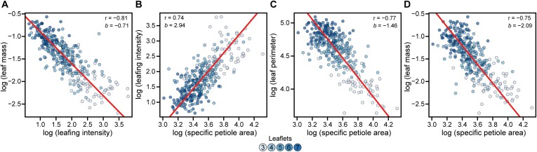 Foliar relationships. Model II linear regression of log-transformed (A) leafing intensity and leaf mass, (B) specific petiole area and leafing intensity, (C) specific petiole area and leaf mass, and (D) specific petiole area and leaf perimeter. For all panels, points are colored according to the number of leaflets, as shown in the key.