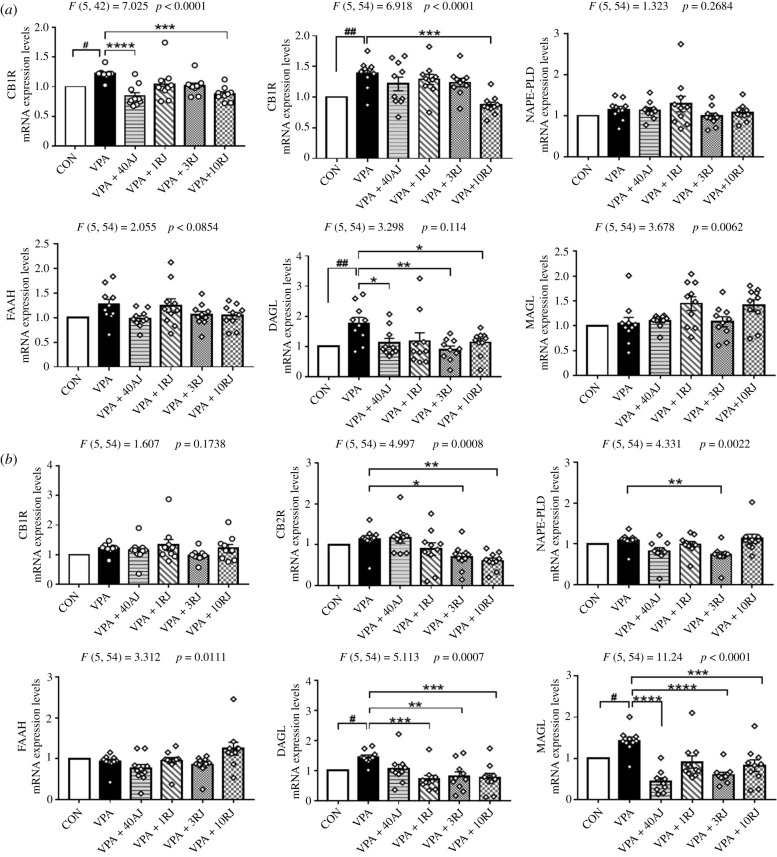 Effects of JZL184 treatment on the relative mRNA expression levels of eCB system normalized to GAPDH in hippocampus (a) and in the PFC (b). Data represented as means ± s.e.m. (n = 10 pups per group). Results were analysed by one-way ANOVA with Dunnett's post hoc test (#p < 0.05, ##p < 0.01 versus CON group; *p < 0.05, **p < 0.01, ***p < 0.001, ****p < 0.001 versus VPA group). AJ, acute JZL184 treatment; RJ, repeated JZL184 treatment.