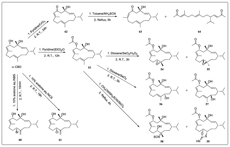 Semisynthetic acetylation, oxidation, epoxidation, and halogenation of α-CBD (53–64).