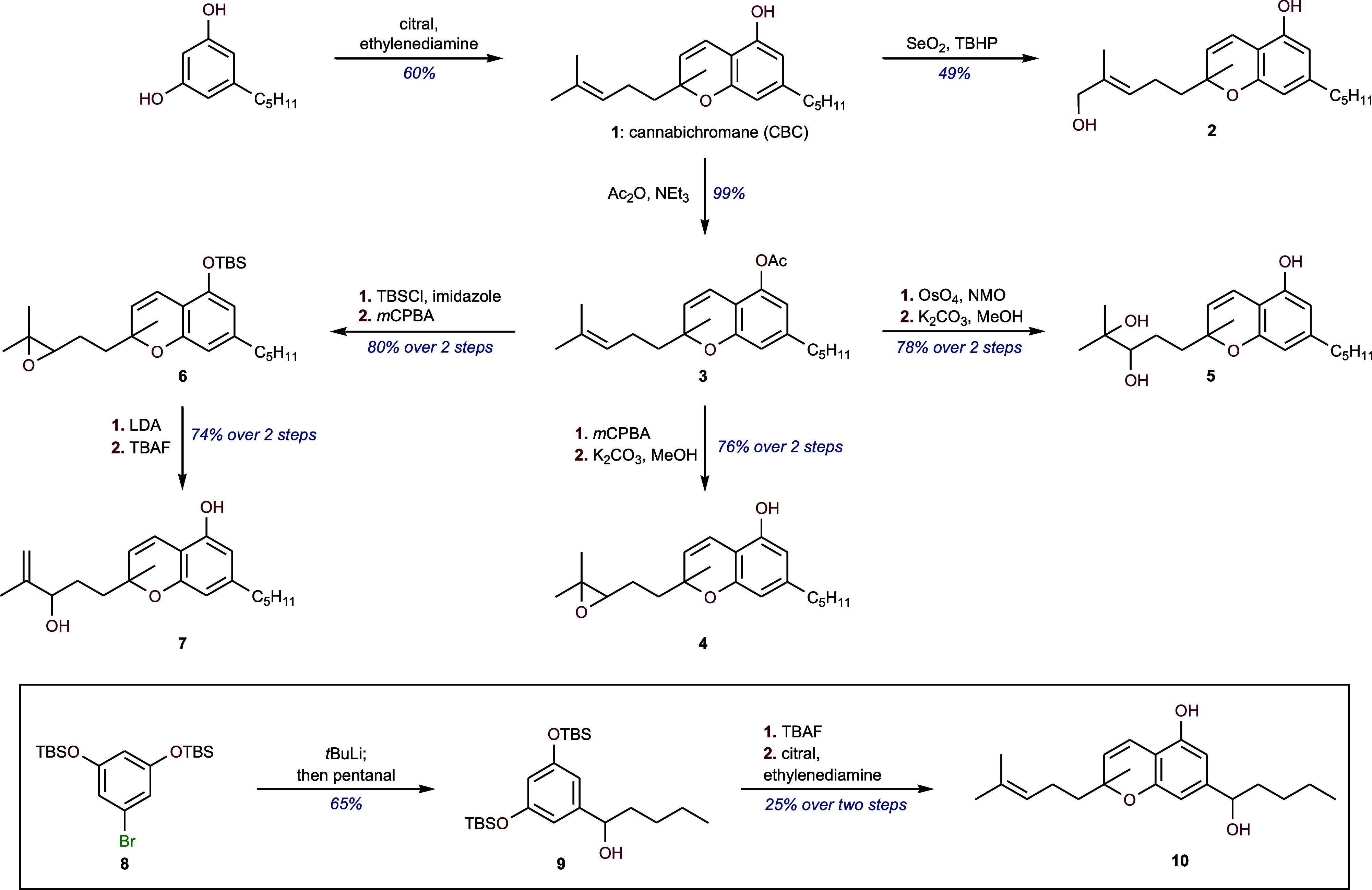 Synthesis of CBC and Its MetabolitesDetails of the synthesis are present in the Supporting Information.