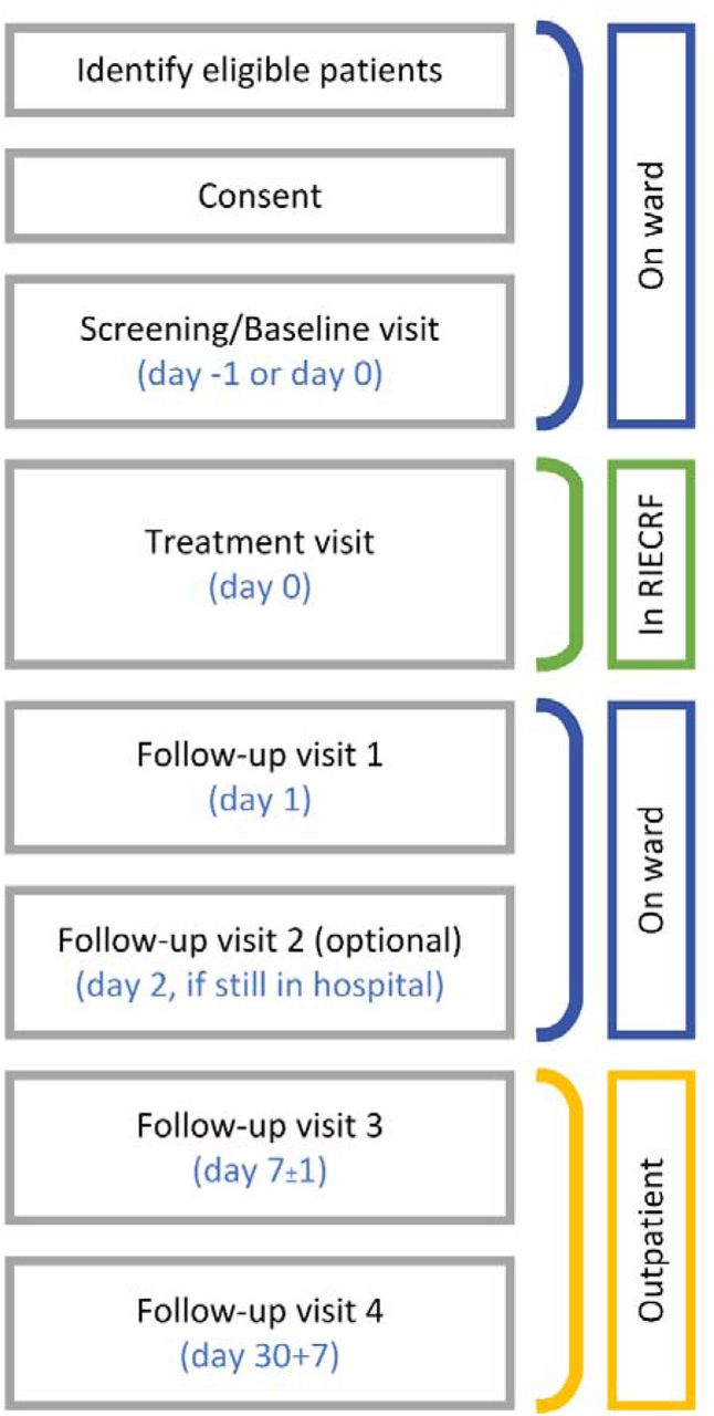 Study visits flow diagram.