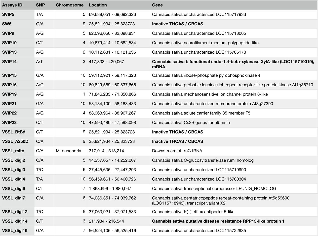 Information about the 22SNPs used in the study. Including genomic location and putative function.Bolded markers indicate those with significant association to the inferred population structure described here.