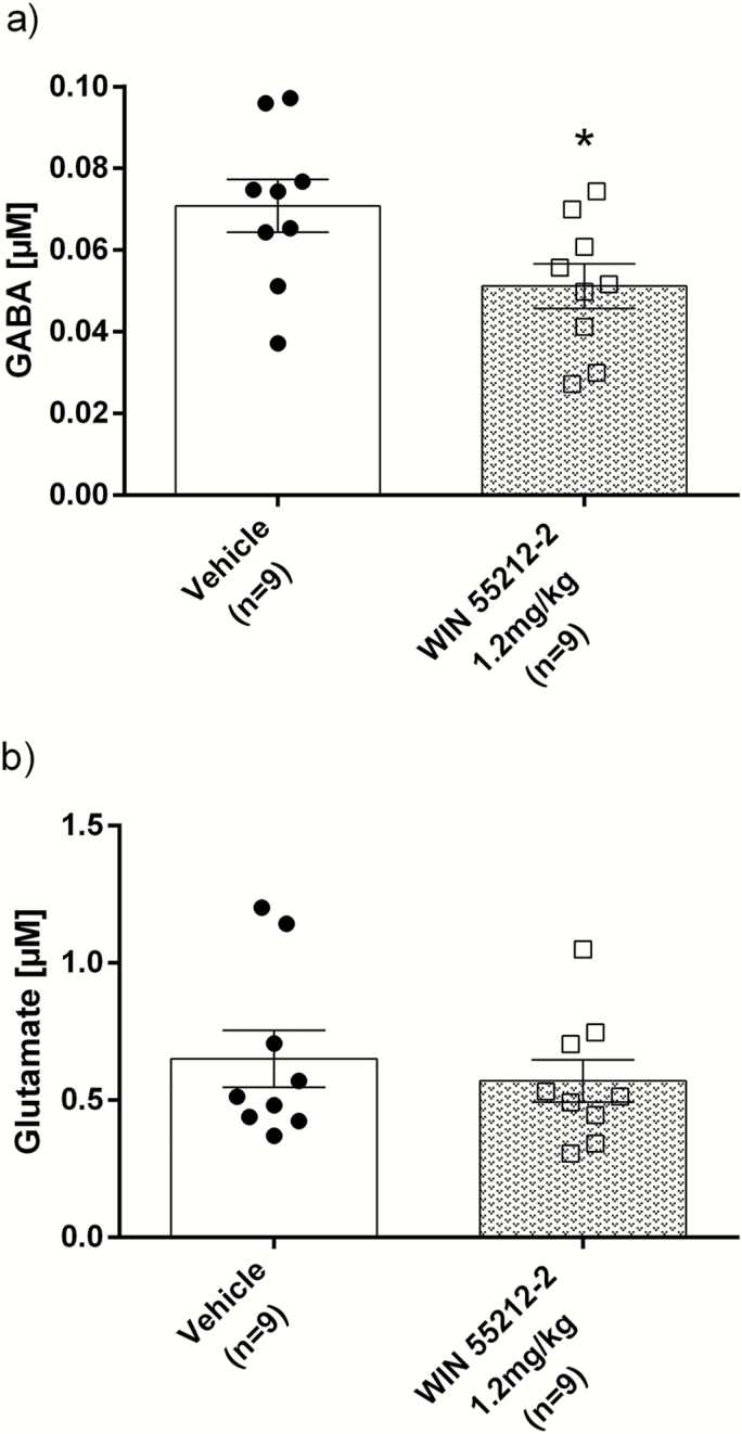 Adolescent exposure to WIN 55212-2 decreased basal gamma-aminobutyric acid (GABA) dialysate in the substantia nigra pars compacta (SNc) of adult rats. In vivo conventional microdialysis in anesthetized adult rats was carried out following vehicle (n = 9) or WIN 55212-2 exposure during adolescence (n = 9). Data correspond to mean ± SEM. (a) Basal GABA dialysate. *P < .05 compared with vehicle group; unpaired t test. (b) Basal glutamate dialysate.
