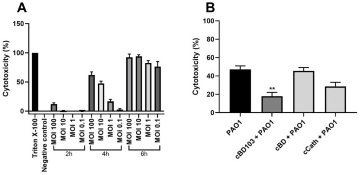 Pseudomonas aeruginosa-induced cytotoxicity of CPEK cells. (A) Infectivity of P. aeruginosa in CPEK cells was established by inoculating PAO1 at multiples of infection of 0.1, 1, 10, or 100 for a designated time (2, 4, or 6 h). (B) The effect of antimicrobial peptides on P. aeruginosa-induced cytotoxicity on CPEK cells. Cell cytotoxicity was assessed using an EZ-LDH cell cytotoxicity assay kit. Results are expressed as mean ± standard deviation and were analyzed using one-way analysis of variance and Tukey’s multiple comparisons test in three independent experiments. ** p < 0.01.