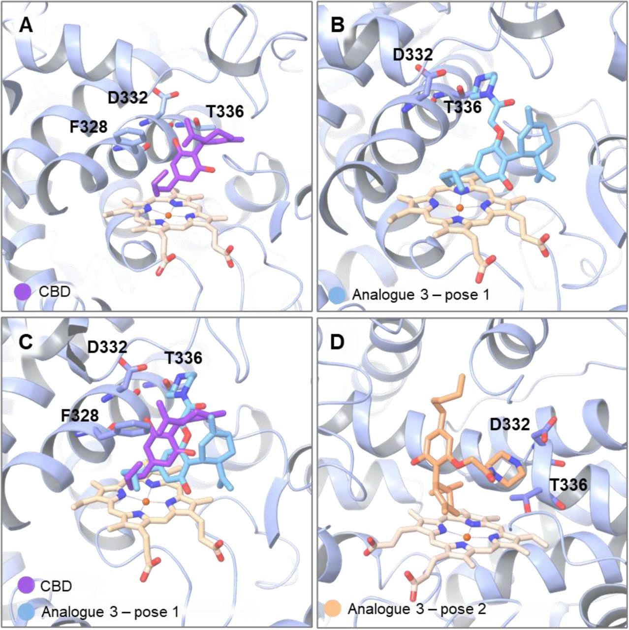Docking poses of CBD and Analogue 3 in the predicted CYP9K1 model. (A) CBD illustrated in magenta is docked directly above the heme group. (B) Analogue 3 in light blue binds with its aliphatic benzene side chain positioned above the heme group, while the piperazine moiety is oriented near residues D332 and T336. (C) Overlay of CBD (magenta) and Analogue 3 (light blue), showing a similar binding geometry. (D) Most stable binding pose of Analogue 3, based on MM-GBSA ΔGbind values.
