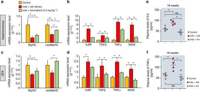 Effect of rimonabant on the expression of inflammation markers. The bar graph shows the expression levels of myosin heavy chain (MyHC) and neonatal-myosin heavy chain (neo-MyHC) (a and c) and/or transforming growth factor β 1 (TGF-β1), tumor necrosis factor α (TNFα), interleukin receptor 6 (IL6R), and inducible nitric oxide synthase (iNOS) (b and d) in the indicated skeletal muscles isolated from control (dark yellow), mdx mice + vehicle (DMSO, red columns) and mdx mice + rimonabant (0.5 mg Kg−1, green columns). Each bar is the mean ± SEM of six separate determinations. e, f Plasma levels of IL6 and TNFα quantified by ELISA in control (n = 4) and mdx mice treated with vehicle (DMSO; n = 4) or rimonabant 0.5 (n = 4) mg Kg−1. *P ≤ 0.05 vs. vehicle group, determined by Student’s t test