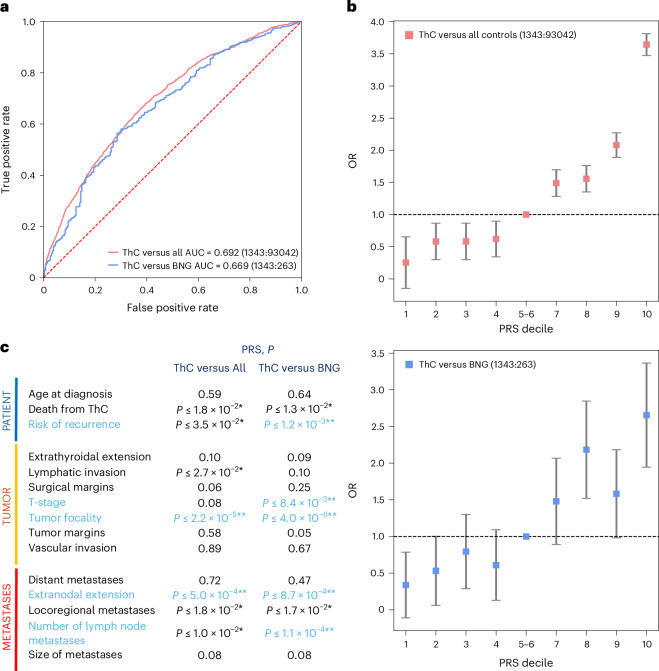 The ThC PRS.Two ThC PRS were developed: PRSThC versus All to identify individuals at risk in a population and PRSThC versus BNG for the clinically relevant task of discriminating malignant and benign thyroid nodules. PRS were tested in the CCPM population, which was not used for PRS development. a, AUCs (n = 94,561; 1,343 ThCs). b, ThC risk according to PRS decile. The error bars denote the 95% CI calculated as ± s.e. × 1.96 surrounding the odds ratio (OR). c, PRS association with features of aggressive ThC. P values were calculated using a two-sided Wald test. Asterisks indicate ThC risk features significantly associated with PRS at a nominal (black; *P ≤ 0.05) or Bonferroni-corrected (blue; **P ≤ 1.7 × 10−3) significance threshold. Raw PRS and ThC risk features are listed in Supplementary Table 16.