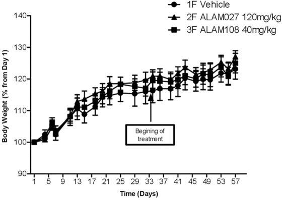 Follow-up of the mice weight throughout the study.