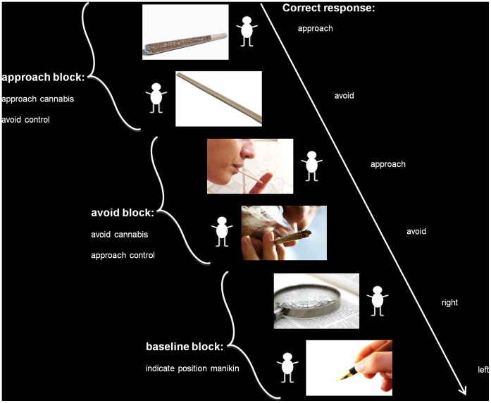 Schematic representation of the Stimulus Response Compatibility Task.The SRC consisted of two approach, avoid, and baseline blocks. Trials consisted of a cannabis or control image with a manikin left or right next to it. Approach-block instructions were to move the manikin towards cannabis images but away from other images. Avoid-block instructions were the reversed. The manikin could be moved left and right by pressing the corresponding left and right response box button. Baseline-block Instructions were to press left or right according to the manikin’s position.