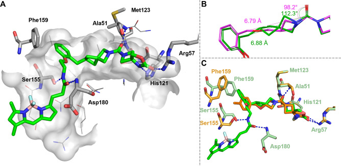 A) The co‐crystal structure of compound 9 (green) with hMAGL (PDB: 9G4M). Hydrogen bonds (blue) are indicated as dashed lines. Amino acid residues with important interactions (Phe159, Ser155, Asp180, Met123, Ala51, His121, Arg57) are highlighted. B) The spirocyclic [3.3] structure of 9 (green) is a rigidified bioisostere of the azetidine ether structure of 5 (magenta). The structure of the minimized conformer of 5 is superimposed with the ligand structure of the X‐ray co‐crystal structure (PDB: 9G4M), truncated for clarity. The distance between the carbonyl C and the benzyl C and the respective angles to C=O are indicated. C) Superimposition of the binding sites of compounds 4 f (orange, PDB: 7L50) and 9 (green, PDB: 9G4M).