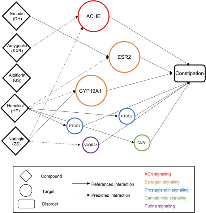 The drug-target-disorder network of MZRW representative compounds for constipation. The prokinetic effects of MZRW representative compounds can be explained by several targets. The compound is linked with biological target if it has reported (solid line) or predicted (dashed line) to be interacted with that target. All the biological targets have been reported to have links with constipation. Overall, these biological targets are belonging to the ACh signaling (red), estrogen signaling (orange), prostaglandin signaling (blue), cannabinoid signaling (green), and purine signaling (purple) pathways.