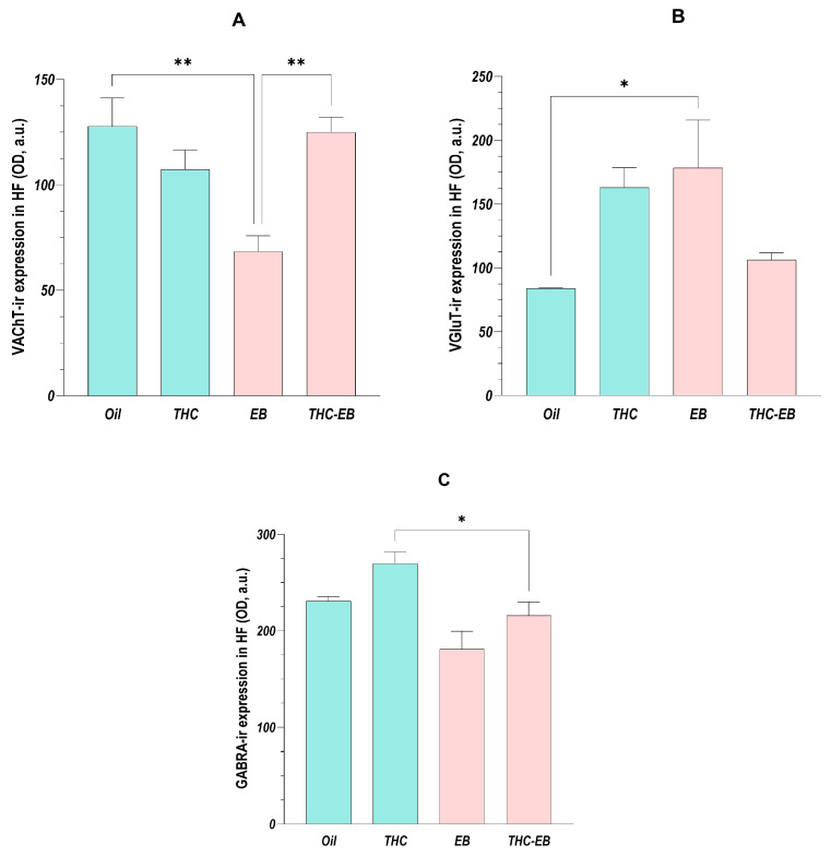 VAChT (A), VGLUT (B), and GABRA (C) expression variation in HF in groups treated with the vehicle (Oil), delta-9-tetrahydrocannabinol (THC), estradiol benzoate (EB), and THC-EB. All areas analyzed as one. Columns represent the means ± SEM. Tukey’s Post Hoc tests: ** p < 0.01, * p < 0.05, comparing paired groups.