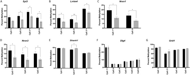 Bisulfite pyrosequencing of sperm DNA from THC injected rats compared to controls. Bar graphs showing bisulfite pyrosequencing results from sperm of THC exposed (gray) versus control (black) rats for (A) Syt3; (B) Lrrtm4; (C) Nrxn1; (D) Nrxn3; (E) Shank1; (F) Dlg4; and (G) Grid1. Error bars represent the SEM across samples. *p < 0.05; **p < 0.01, unadjusted values. The CpG site labeled with “^” represents the site that was initially identified in the RRBS dataset.