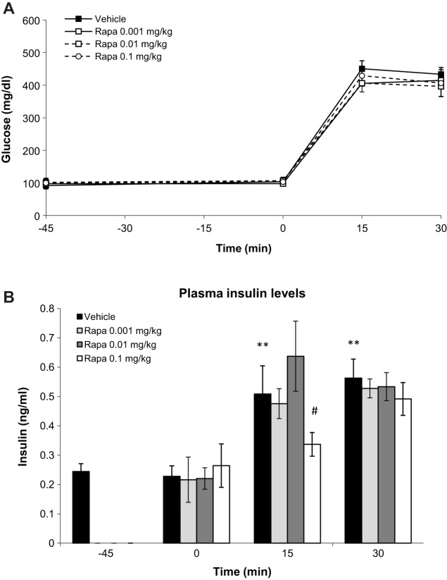Rapamycin does not affect glucose tolerance in vivo in the range 0.001-0.1 mg/kg but decreases plasma insulin levels at 0.1 mg/kg. (A) Glucose levels were monitored at time points −45 (basal), 0, 15 and 30 min after glucose load in C57BL/6 mice receiving rapamycin at 0.001, 0.01 or 0.1 mg/kg. (B) Effect of different doses of rapamycin on plasma insulin before (−45 min.) and 0, 15 and 30 min after glucose challenge in C57BL/6 mice. **P<0.01 versus vehicle at time point 0 min; #P<0.05 versus vehicle at time point 15 min; one-way ANOVA. Two and three independent experiments panel A and B, respectively, n=5-8 mice each experimental condition.