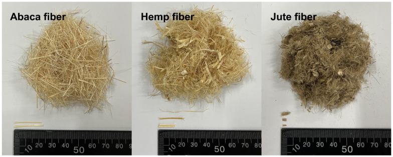 Optical images of natural fibers used.