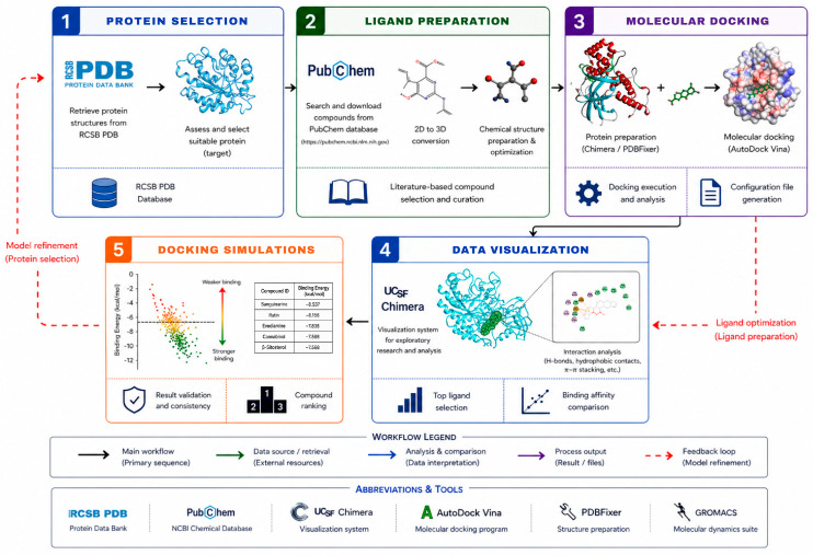 Molecular docking workflow: select and prepare protein, prepare ligands, dock, analyze interactions/scores, visualize results.