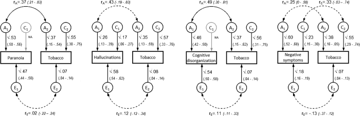 Sensitivity Analyses: Path Diagrams for Most Parsimonious Models Between Psychotic Experiences and Dichotomous Tobacco Use Variable (Nonsmokers and Smokers)Note:Ninety-five percent CI displayed in parentheses. Dashed lines indicate nonsignificant correlations. Nonsmokers are defined as those who have never smoked or who have smoked less than 50 lifetime cigarettes. Smokers are those who smoked 50 or more lifetime cigarettes and who have smoked in the past year. A = additive genetic influences; C = common environmental influences; E = unique environmental influences; rA= genetic correlation; rC= common environmental correlation; rE= unique environmental correlation.