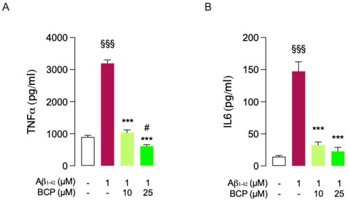 BCP prevents a Aβ1-42-mediated inflammatory response in mouse BSCs. BCP pretreatment prevents the inflammatory response caused by exposure to Aβ1-42 1 μM for 24 h. Bars indicate the release (pg/mL) of TNFα (A) and IL-6 (B). In all the experiments data represent means ± S.E.M. from four independent experiments (n = 4), performed in duplicate. Statistical analysis was performed using ordinary one-way ANOVA followed by Tukey’s multiple comparison test. §§§ p < 0.005 compared to control slices; *** p < 0.005 compared to slices exposed to Aβ 1 μM treatment for 24 h; # p < 0.05 compared to 10 µM BCP pretreated cells.