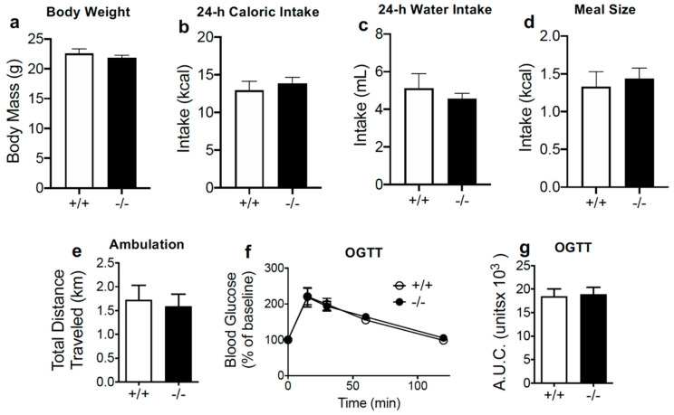 Conditional intestinal epithelium CB1R-deficient mice display no changes in baseline feeding parameters, motor activity, or glucose clearance. Unpaired Student’s t-test, two-tailed (a–e,g; p > 0.05); two-way Repeated Measures ANOVA with Holm-Sidak’s multiple comparison tests (f; not significant). Results are expressed as means ± S.E.M; n = 7–8 per condition (a–e), n = 3–4 (f,g). +/+ = IntCB1+/+ mice, −/− = IntCB1−/− mice; OGTT = oral glucose tolerance test; AUC = area under the curve.