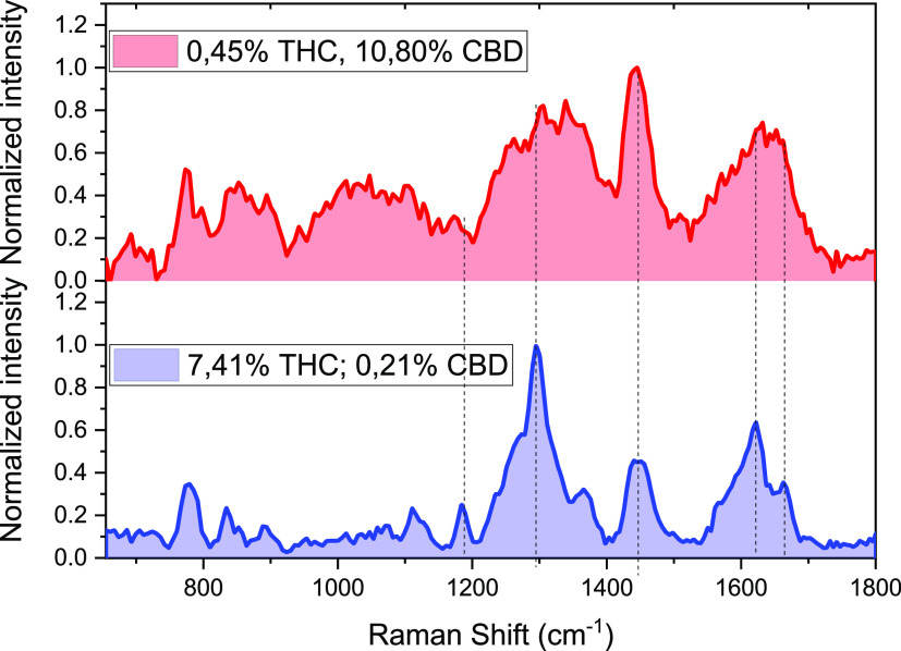 Raman spectra of CBD- and THC-rich plants, collected using 1064 nm laser excitation (sample 6 and sample 26, respectively in Table 1).
