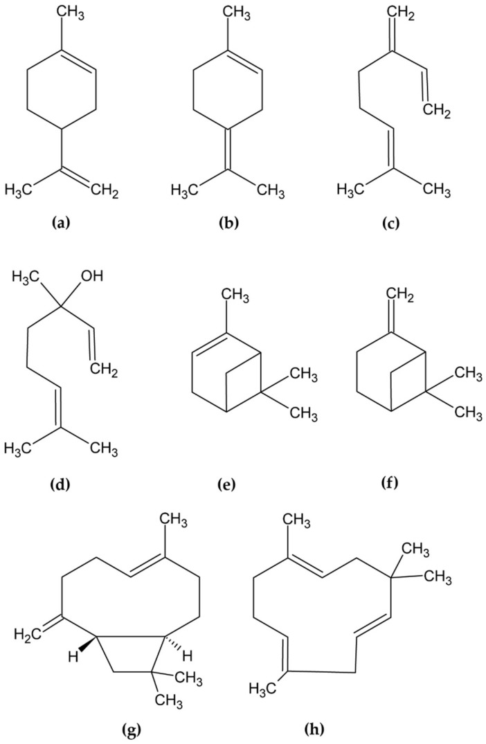 Structures of the investigated compounds: (a) limonene, (b) terpinolene, (c) myrcene, (d) linalool, (e) α-pinene, (f) β-pinene, (g) β-caryophyllene, (h) humulene.